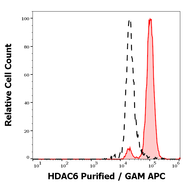Anti-HDAC6 Purified