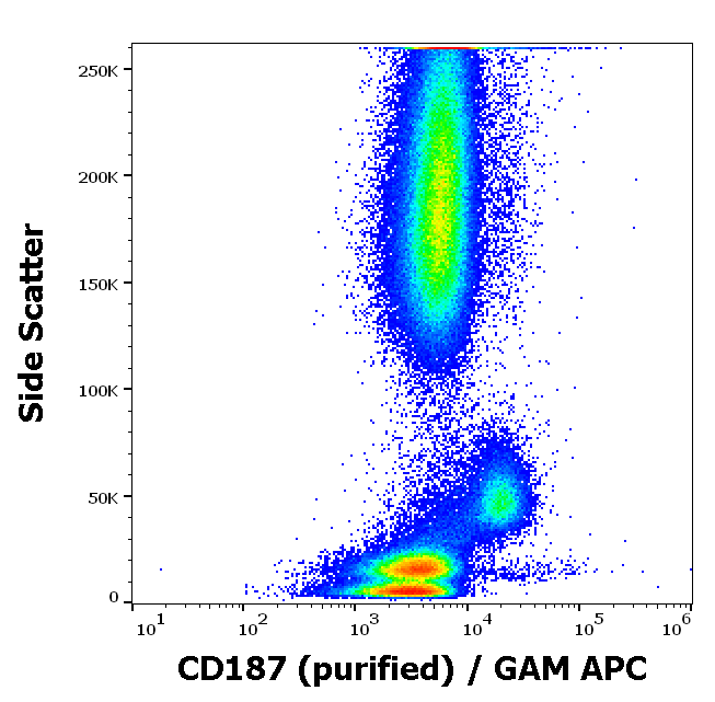 Anti-Hu CD187 Purified