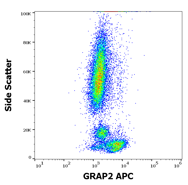 Anti-GRAP2 APC