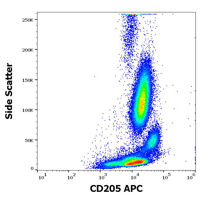CD205 antibody (APC)