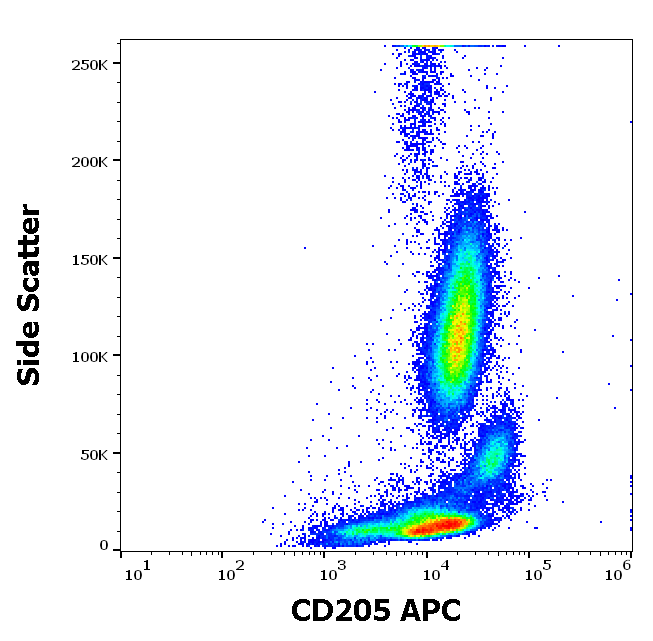 Anti-Hu CD205 APC