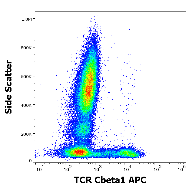 TCR Cbeta1 Antibody (APC)