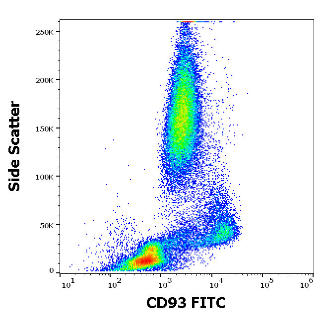 Anti-Hu CD93 FITC