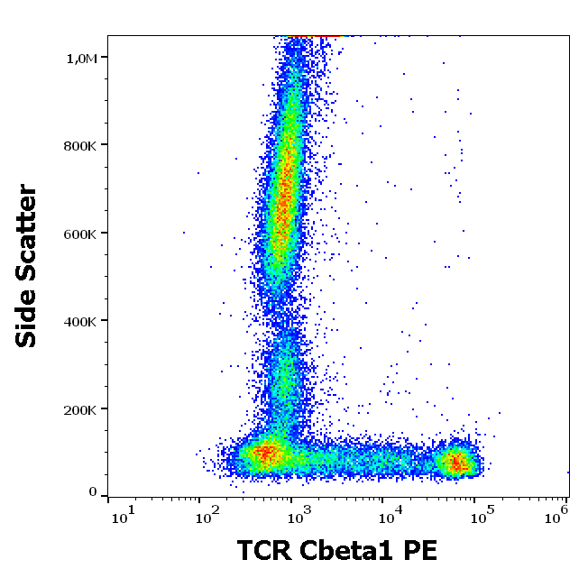 TCR Cbeta1 Antibody (PE)