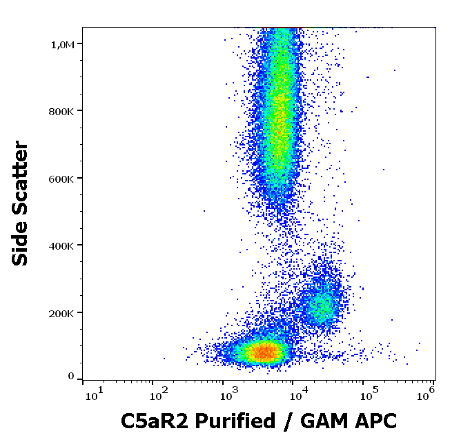 C5aR2 antibody