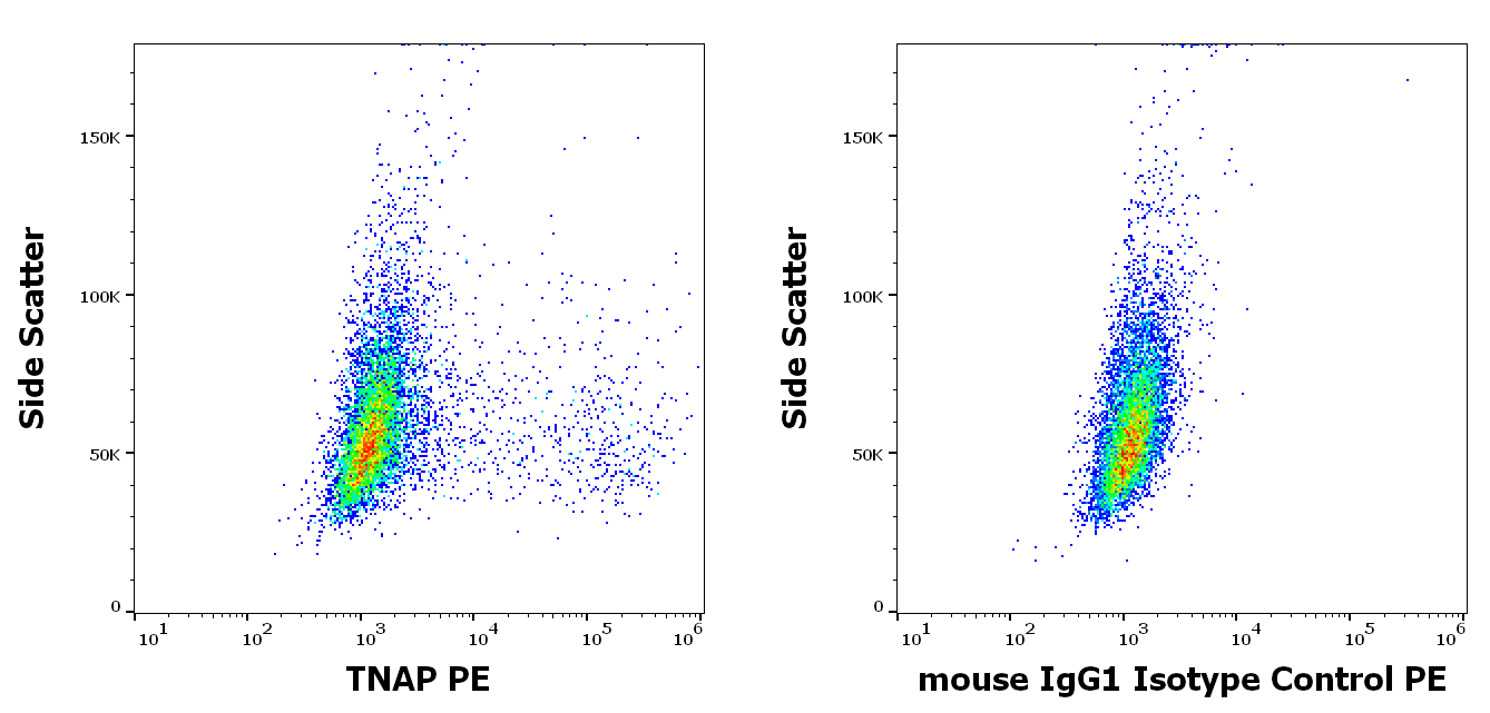 TNAP Antibody (PE)