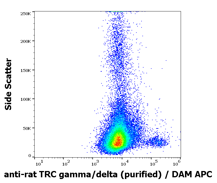 TCR gamma/delta Antibody