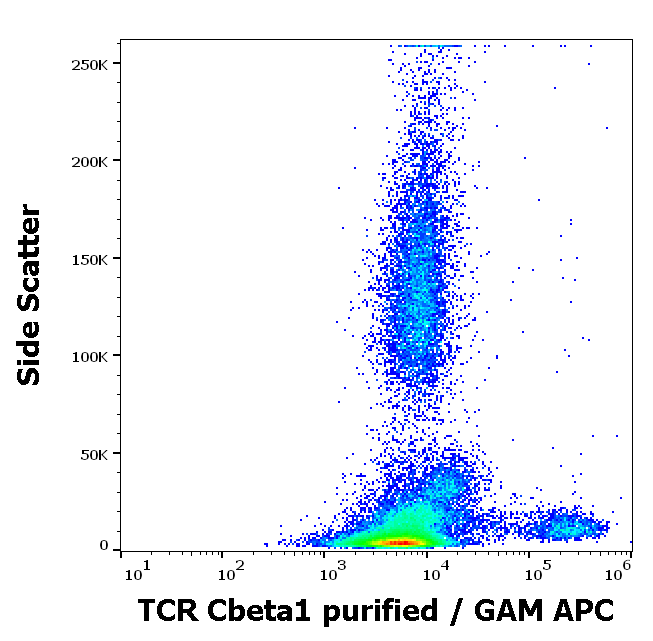 TCR Cbeta1 antibody