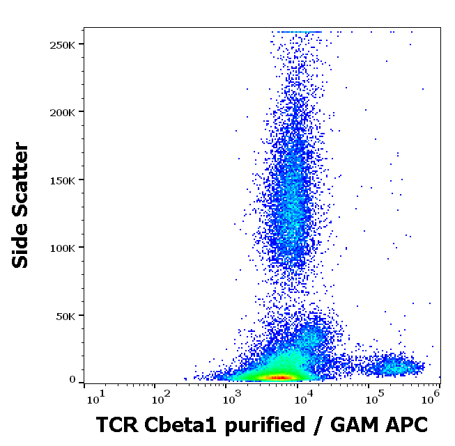 TCR Cbeta1 Antibody