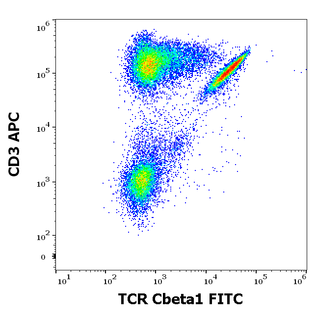 TCR Cbeta1 Antibody (FITC)