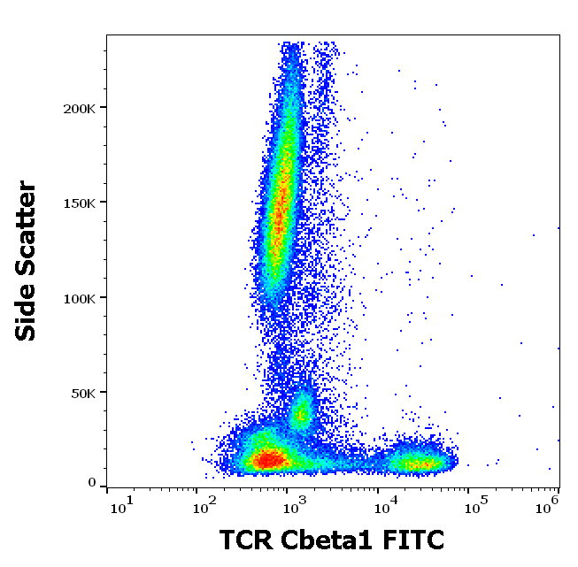 TCR Cbeta1 Antibody (FITC)