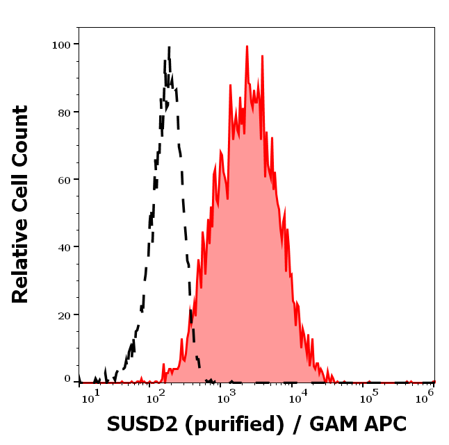 SUSD2 Antibody