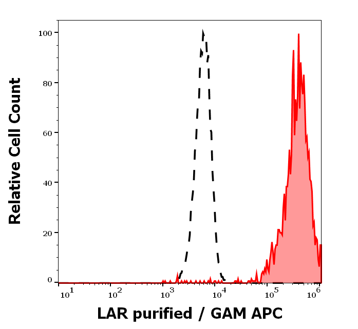 LAR Antibody