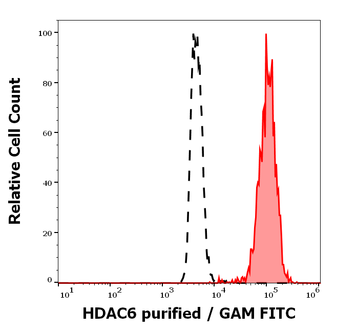 Anti-HDAC6 Purified