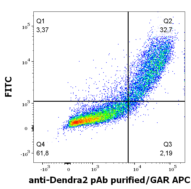 Dendra2 Antibody