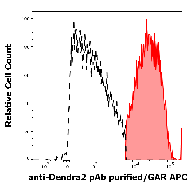 Dendra2 Antibody