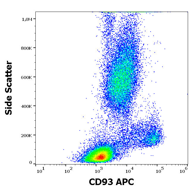CD93 Antibody (APC)