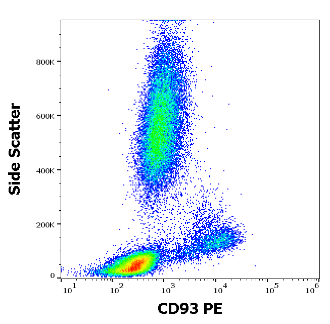 CD93 antibody (PE)