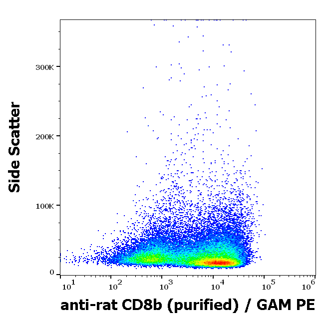 Anti-Rt CD8b Purified Low Endotoxin