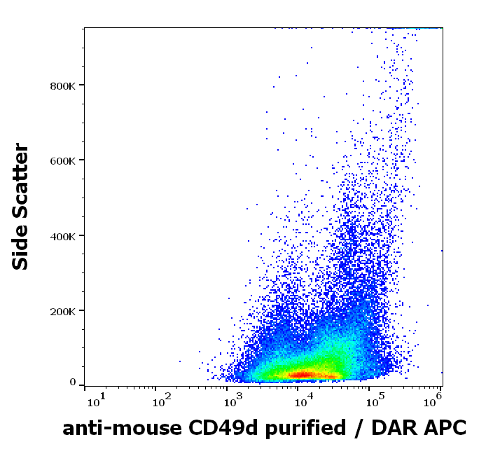 CD49d Antibody