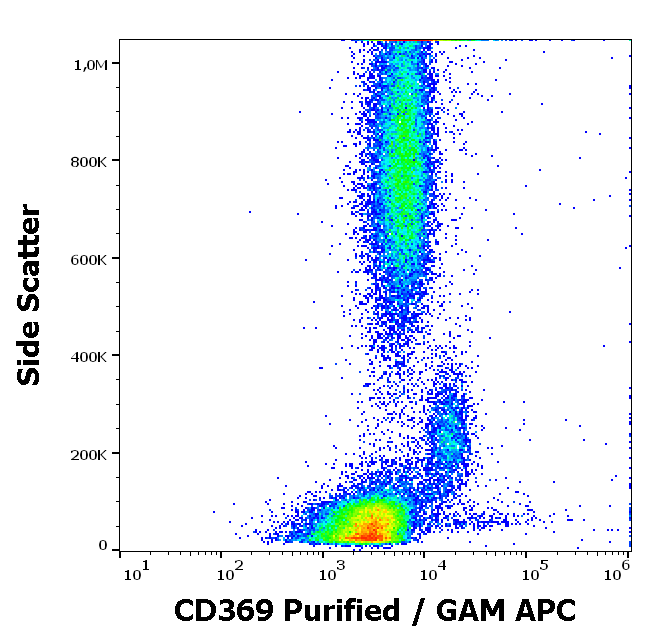 Anti-Hu CD369 Purified