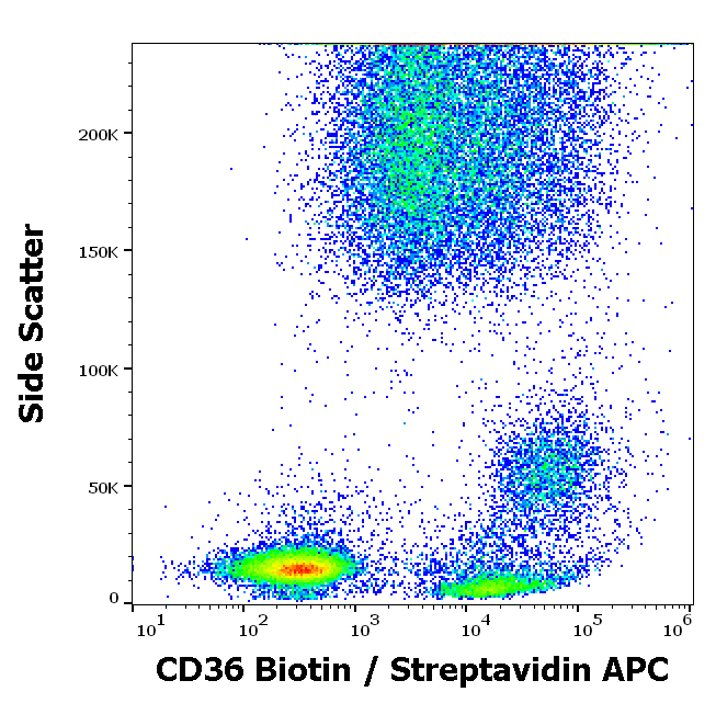 CD36 antibody Biotin)