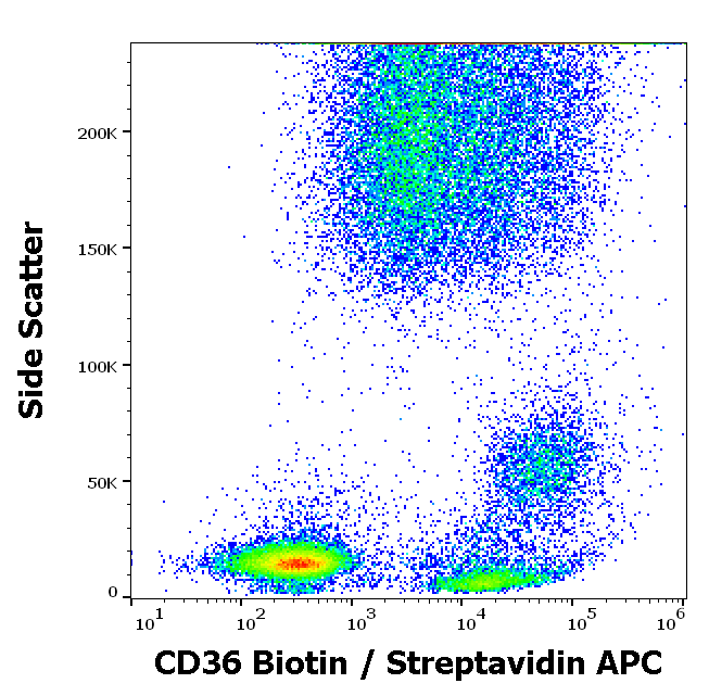 Anti-Hu CD36 Biotin