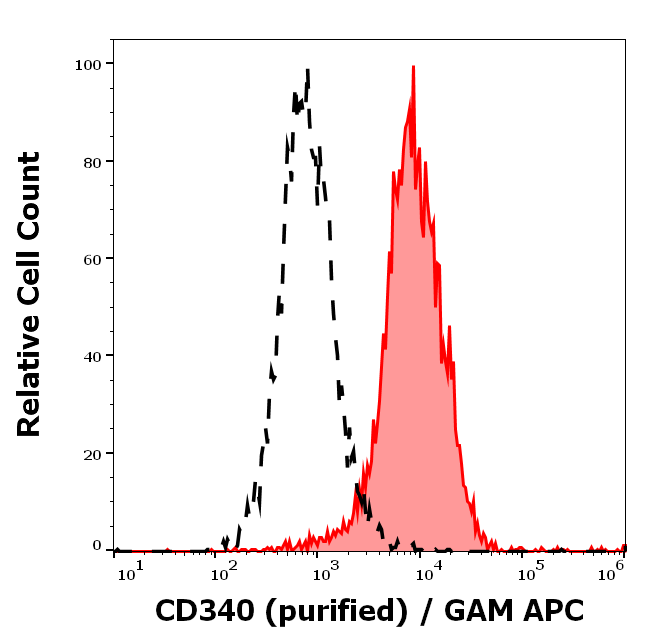 CD340 Antibody