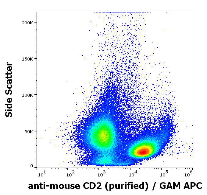 CD2 Antibody