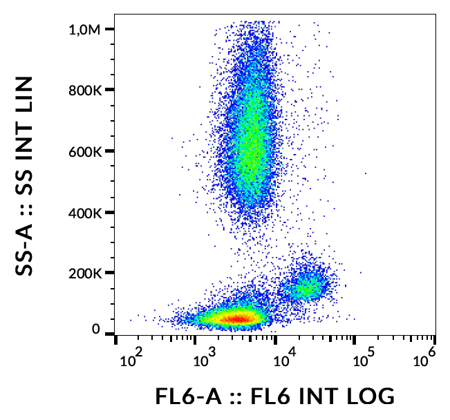 CD172a Antibody