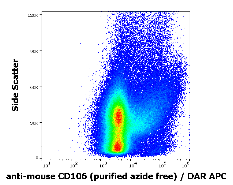 CD106 Antibody
