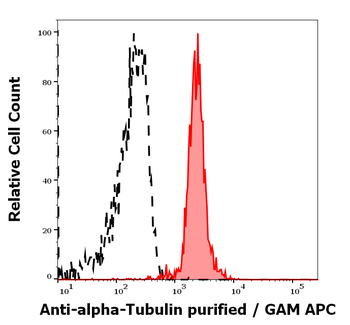 TUBA1 antibody