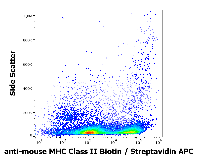 MHC Class II antibody (Biotin)