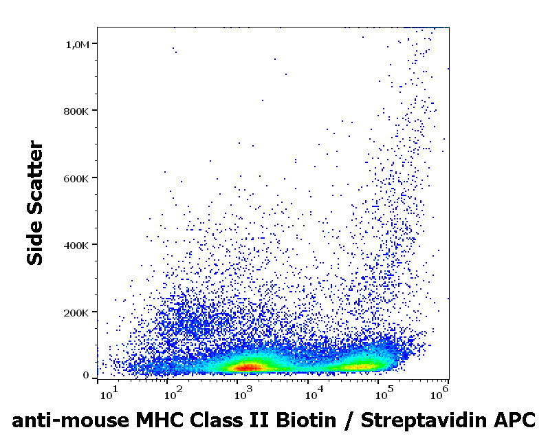 Anti-Ms MHC Class II Biotin