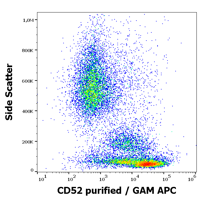 CD52 Antibody