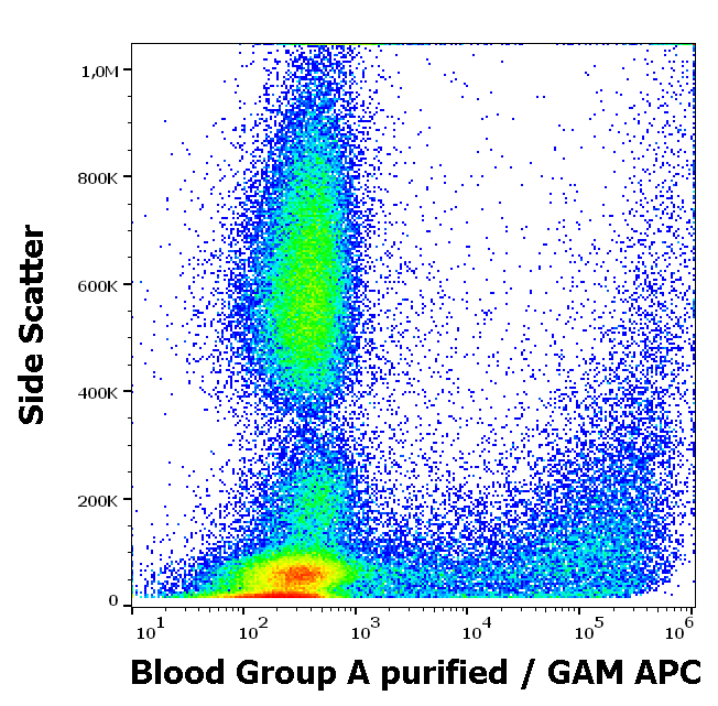 Blood Group A Antibody