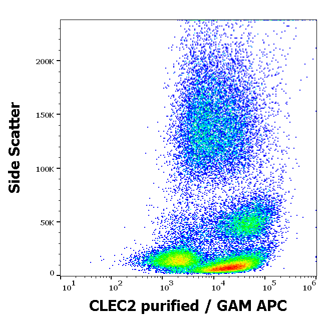 Anti-Hu CLEC2 Purified