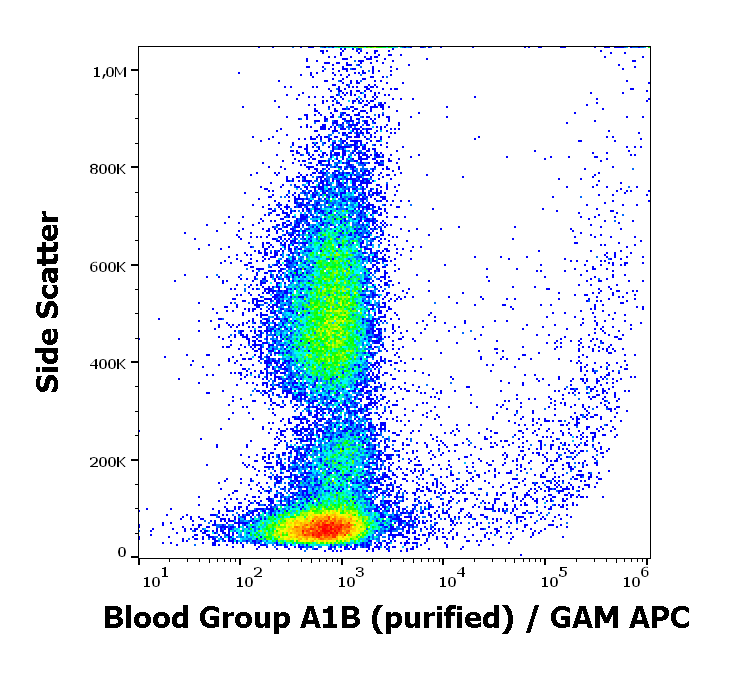 Blood Group A1B Antibody