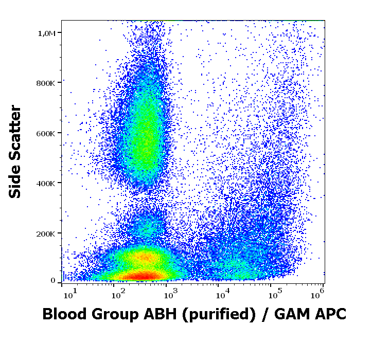 Blood Group ABH Antibody