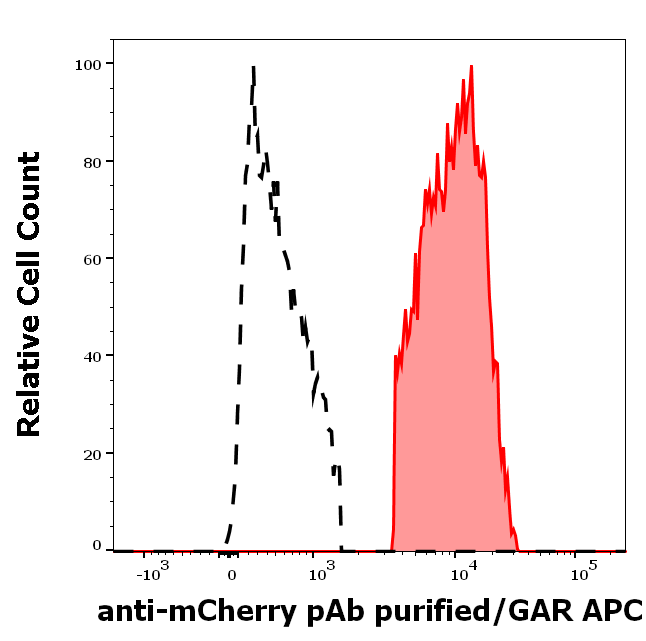 mCherry antibody