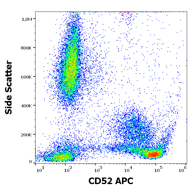 CD52 Antibody (APC)