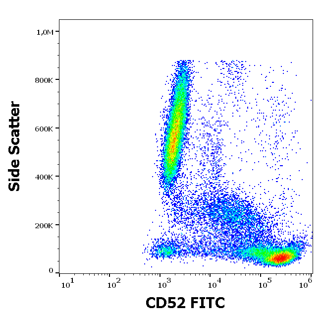 CD52 antibody (FITC)