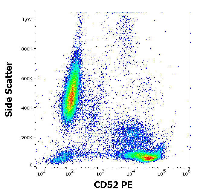CD52 Antibody (PE)