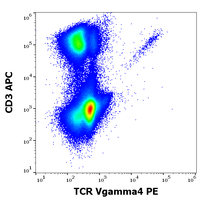 TCR Vgamma4 Antibody (PE)