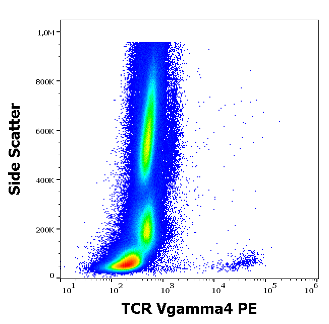 TCR Vgamma4 antibody (PE)