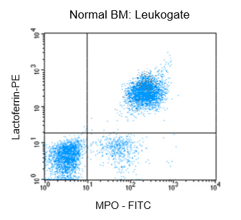 Cell Fixation and Permeabilization Kit