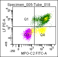 COMBI IC Reagent: Mouse anti Myeloperoxidase-C2 (FITC) and Mouse anti Lactoferrin (PE)