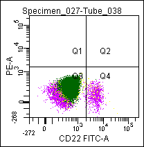 Mouse anti CD22, conjugated to FITC
