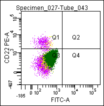 Mouse anti CD22, conjugated to PE