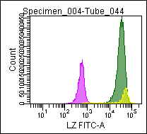 Mouse anti Lysozyme, conjugated to FITC